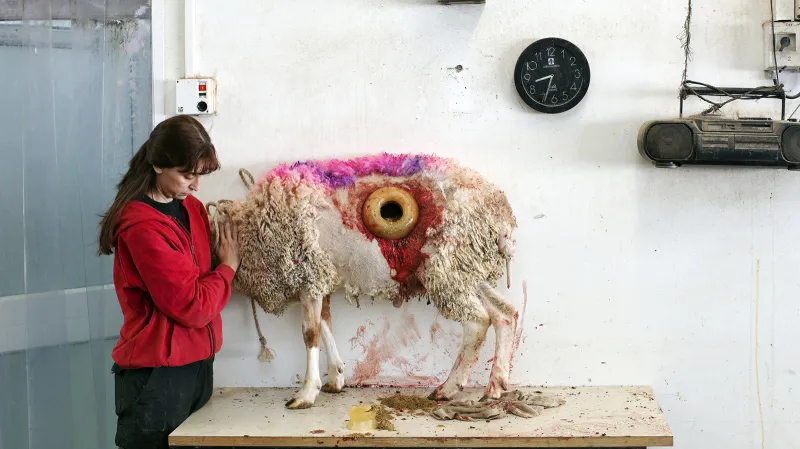 Slovenský dokumentární fotograf Martin Kollár se jako jeden z dvanácti autorů z celého světa zúčastnil projektu This Place, v němž mohl dle svého záměru zobrazit každodenní život na izraelsko-palestinském území.