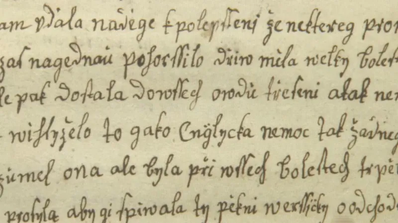 Detail jednoho ze zkoumaných textů