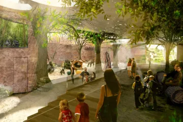 Pavilon goril bude největší v pražské zoo. Návštěvníci se ocitnou ve vesnici i v deštném pralese
