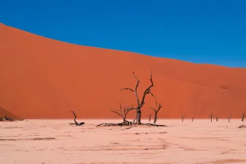 Vědci varují před časovanou bombou, která se týká podzemních vod. Kvůli klimatické změně se nedoplňují