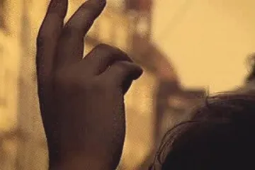 Sametový svátek nabízí výstavy, besedy i shromáždění