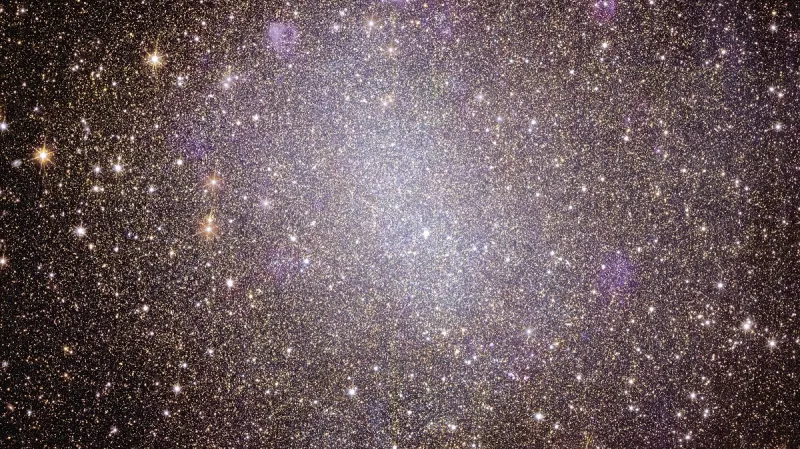 Snímky nepravidelné galaxie NGC 6822 z teleskopu Euclid