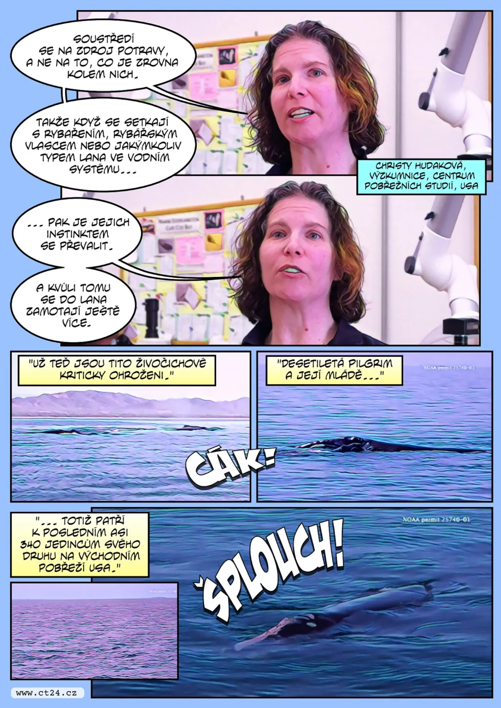 Velryby jsou ohrožené farmami na řasy