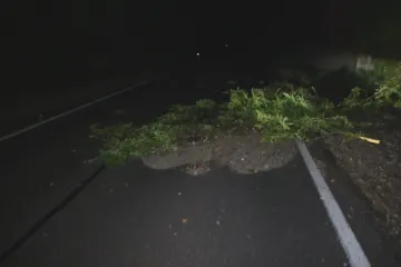 Česko zasáhly silné bouřky. Na jihu země připravily o proud dvacet tisíc domácností