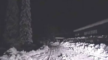 Sníh