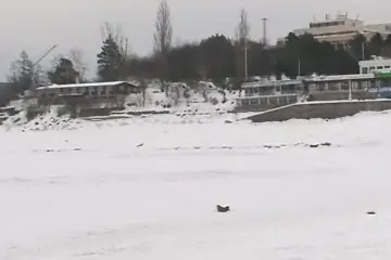 Bude čištění brněnské přehrady pokračovat?