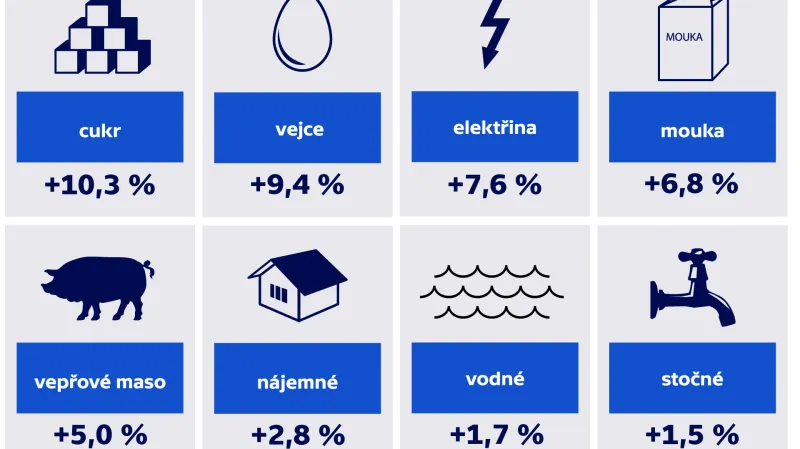 Meziroční růst cen podle vybraných položek v červenci