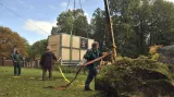 Převoz hrocha Huberta