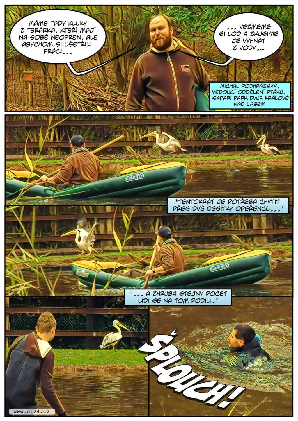 Safari ve Dvoře Králové se připravuje na zimu. Náročný odchyt čekal i pelikány