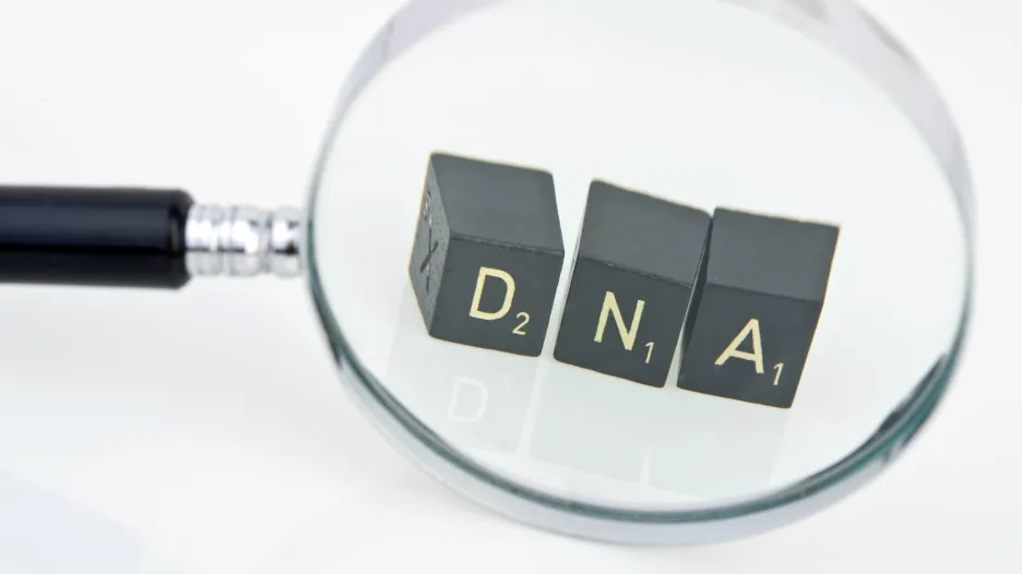 Zkoumání DNA