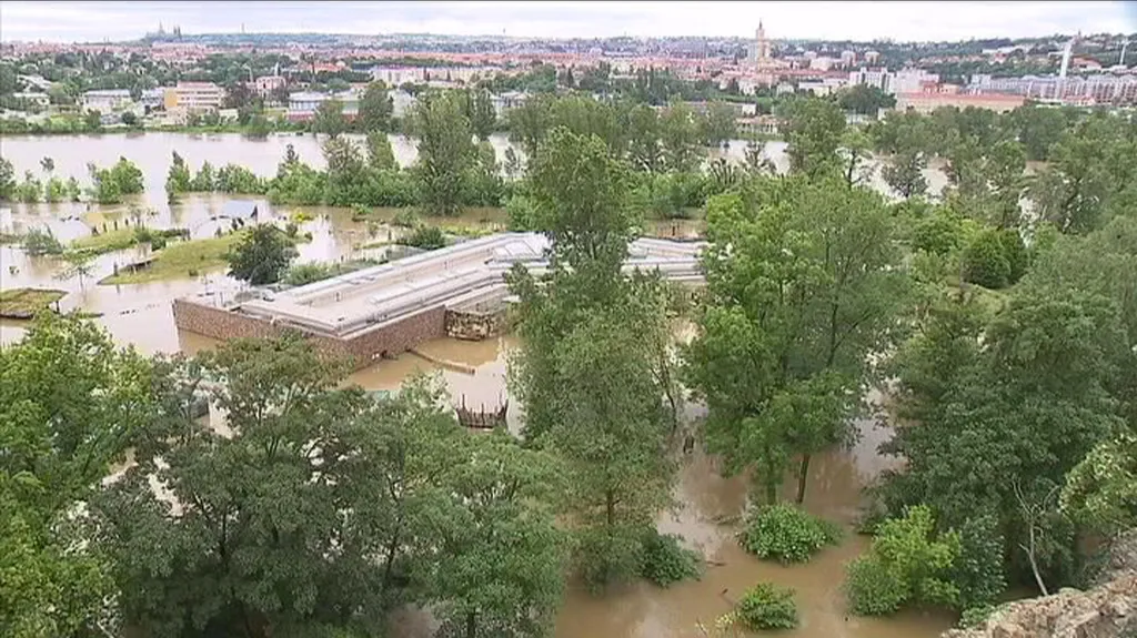 Zatopená pražská ZOO