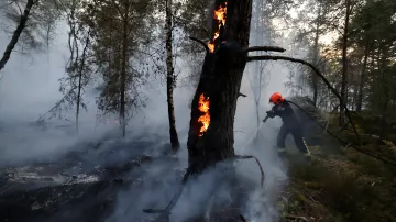 Rozsáhlý požár lesa Fontainebleau nedaleko Paříže