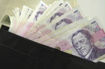 Jak nejlépe zhodnotit své úspory?