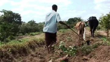 Africký zemědělec