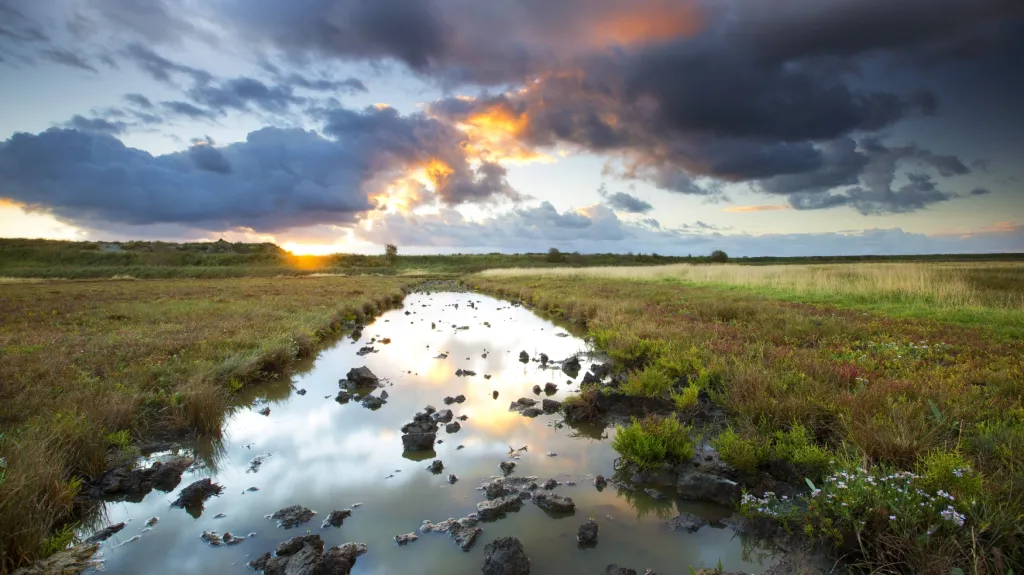 Vodní plochy v přírodě