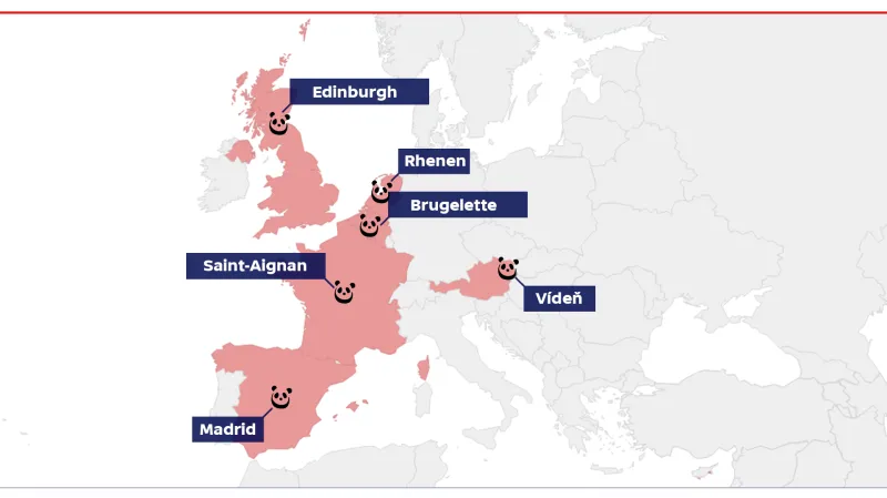 Pandy velké v evropských zoo