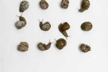 AVÍZO: Výstava prací Bořivoje Hořínka v Chebu