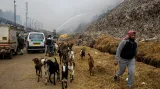 Řada Indů na předměstích je vystavena zplodinám ze zapálených skládek