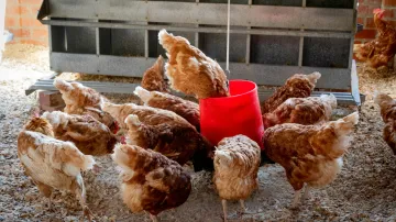 Ilustrační snímek