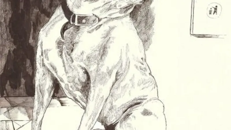 John Dolan / George the Dog