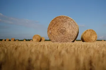 Liberecký soud se musí znovu zabývat škodou po srážce auta s balíkem sena