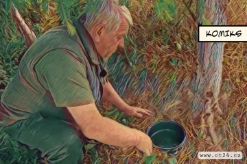 Suchem trpí i lesní zvěř. Místo deště zasahují myslivci