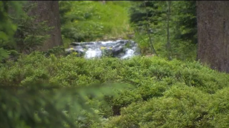 Reportáž Michala Jemelky