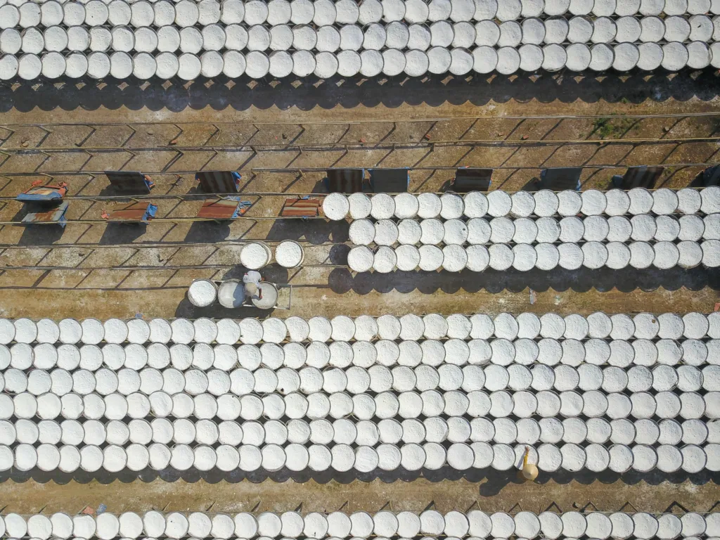 Pracovníci na farmě obracejí a suší semolinu tvrdé pšenice
