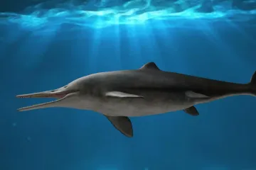 Paleontologové objevili neznámého ichtyosaura, který lovil velkou kořist