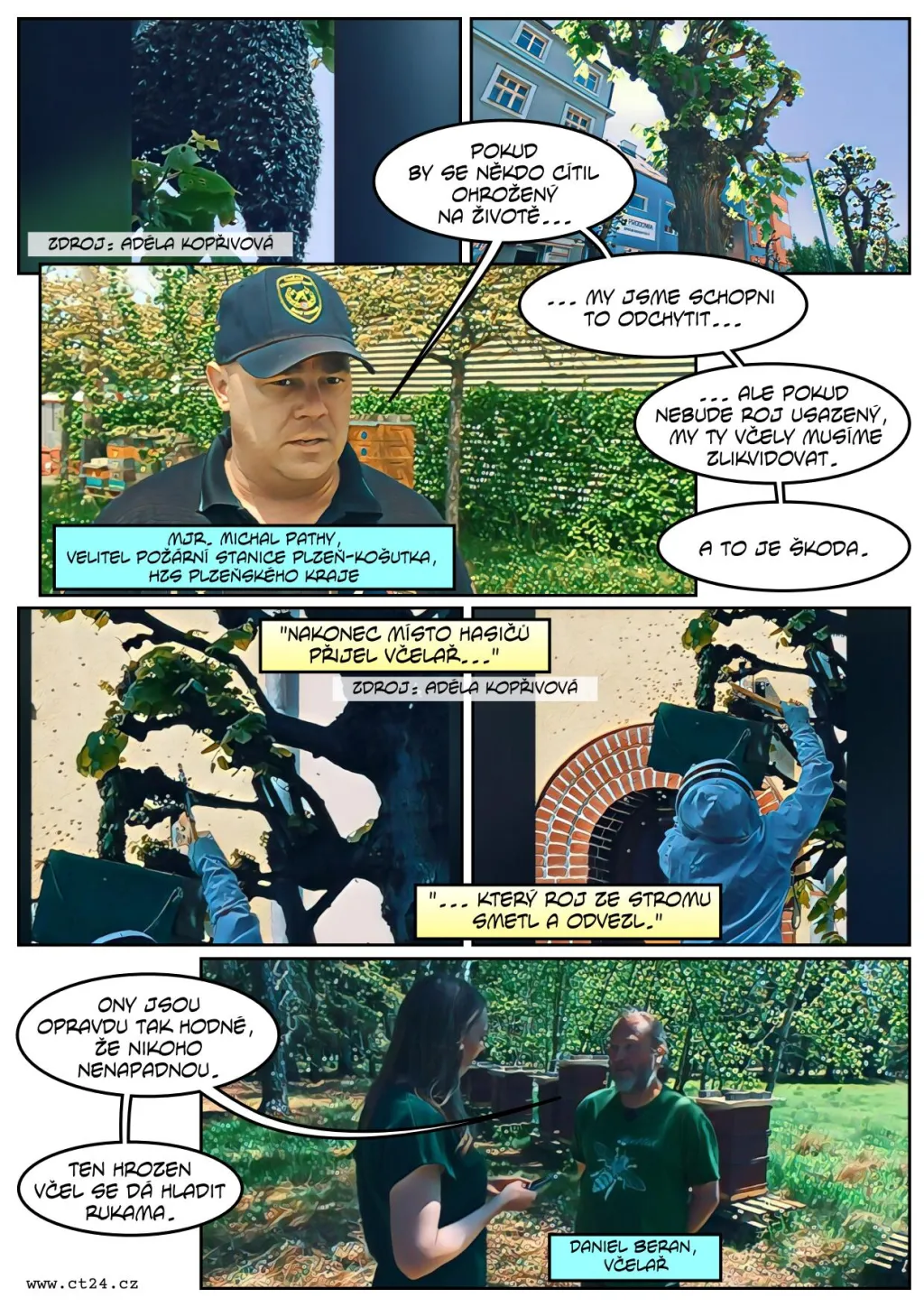 Včely se rojí, ne vždy musí vyjet hasiči