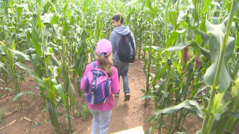 Soutěžící během bloudění