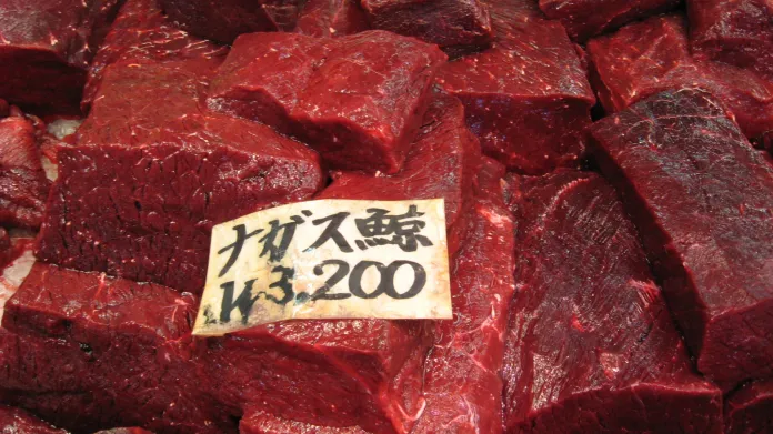 Velrybí maso je žádaným zbožím na japonském trhu