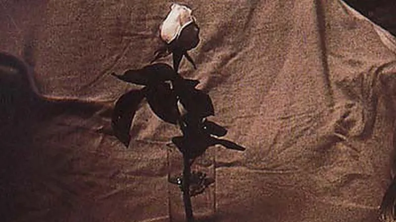 Příběh jedné lásky (Jan Saudek)