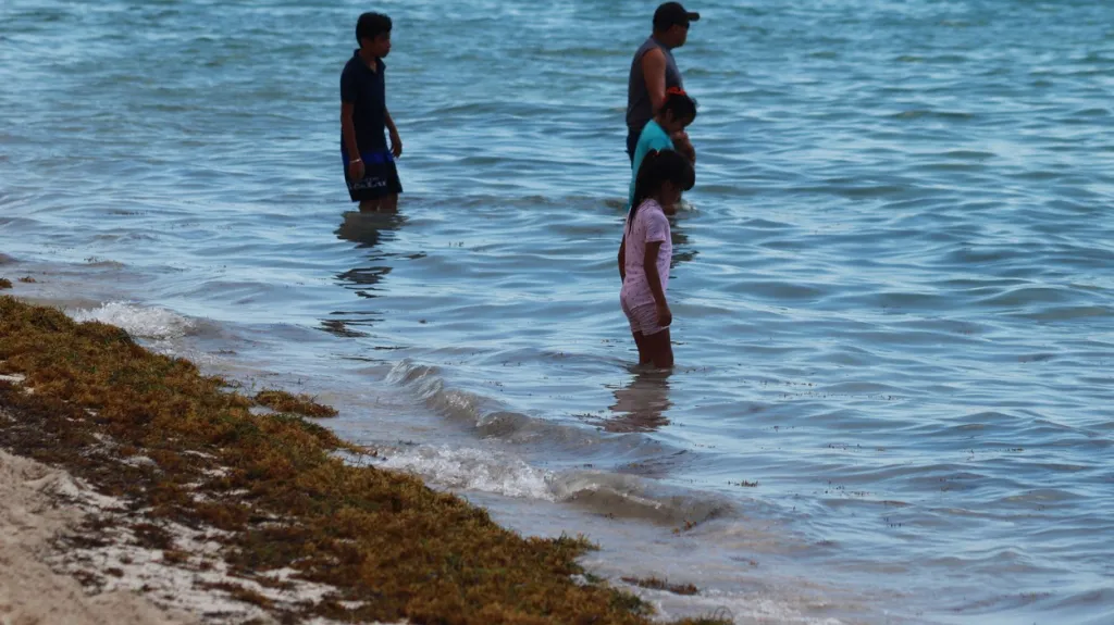 Chaluhy zaplavují pláže v Karibiku