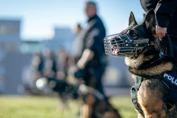 Historii, výcvik i nasazení policejních psů přiblížila Zóna ČT24