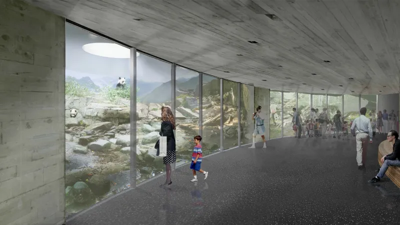 Vizualizace pandí expozice