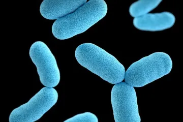 V Česku poprvé po 55 letech zemřel pacient trpící záškrtem