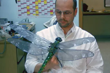 Modernímu hmyzu nic nebrání vyrůst na úroveň pravěkých „obrů“, spočítali vědci