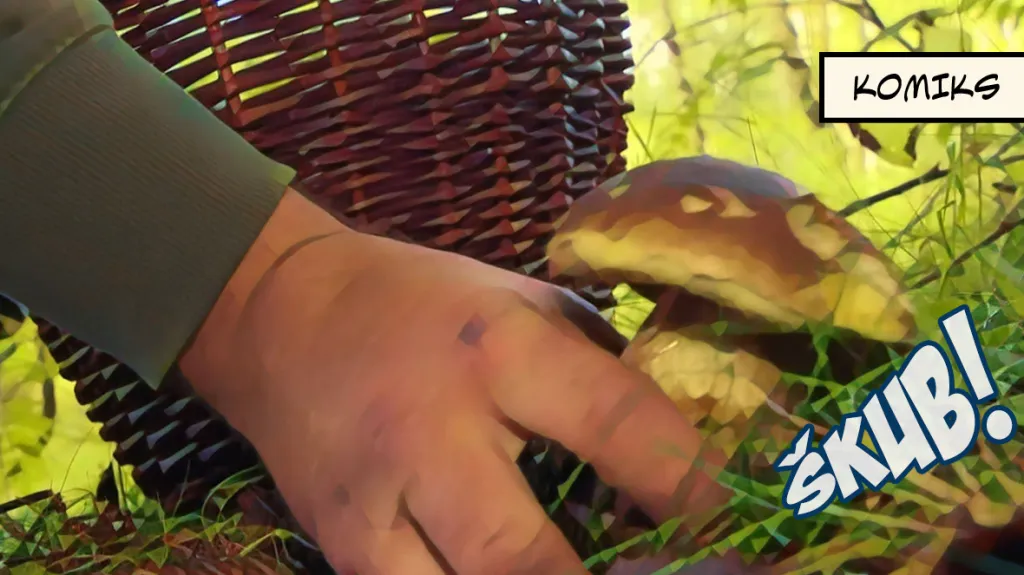 Plné košíky hub se mohou vymstít