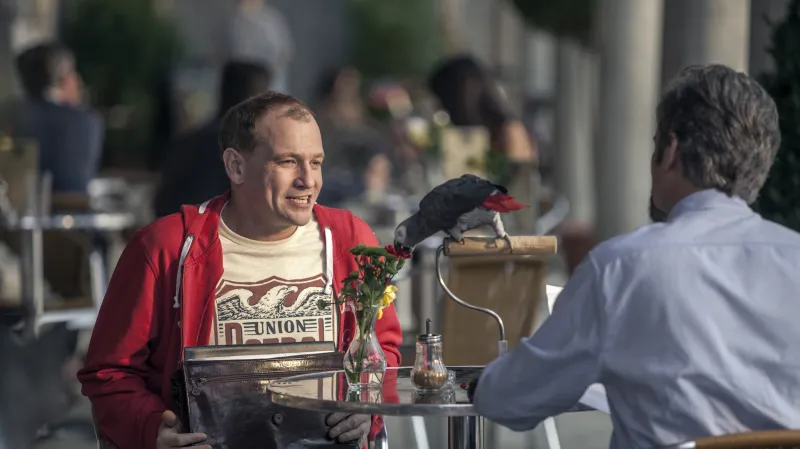 Ztraceni v Mnichově i v kinech