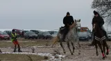 Horseskijöring v Krkonoších