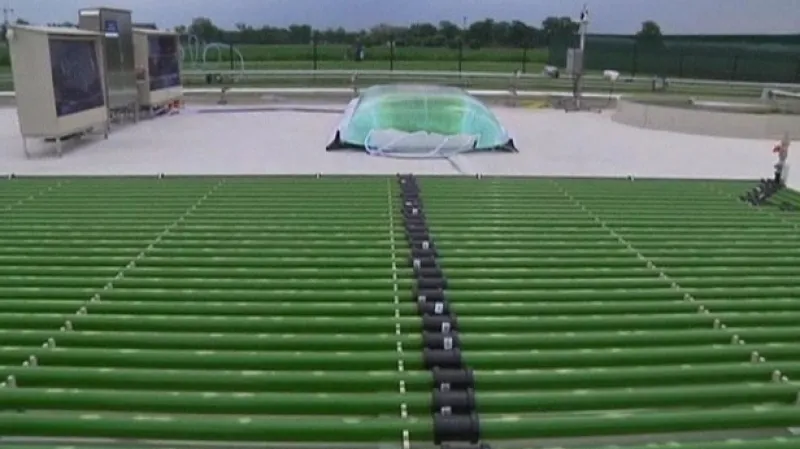 Biopalivo může vzniknout i z řas