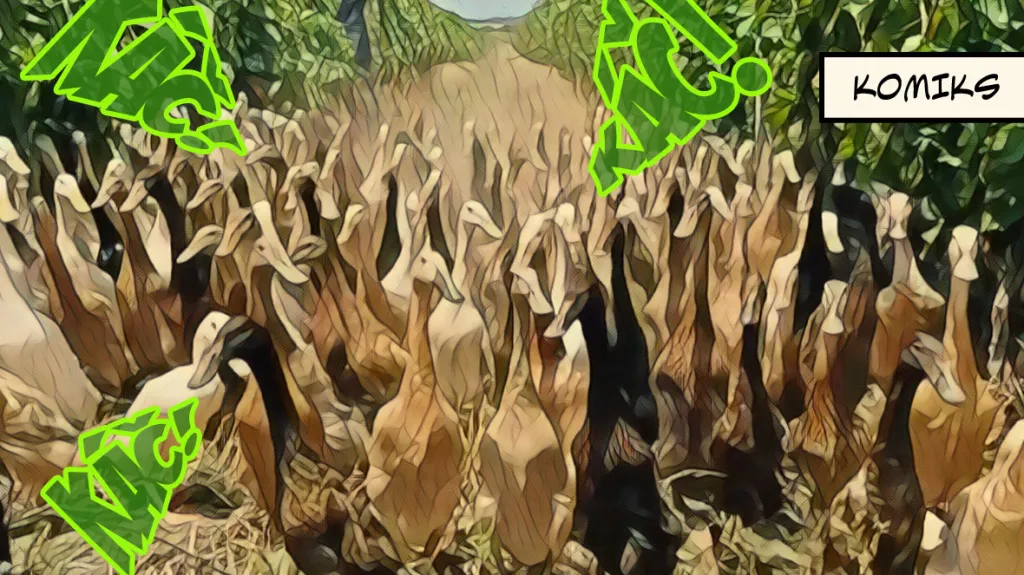 Jak kachny pomáhají ve vinařství