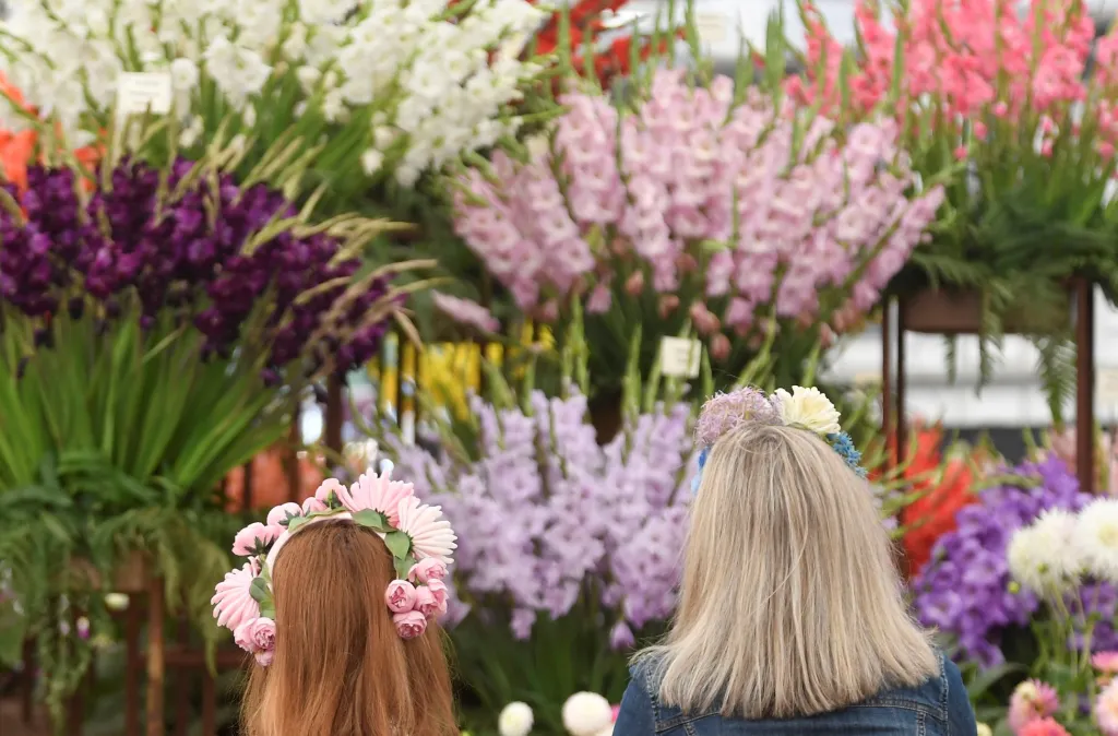 Přehlídka pěstitelů květin, floristů a aranžérů Chelsea Flower Show v Londýně nabízí milovníkům zahrad tu nejzajímavější podívanou ve Velké Británii