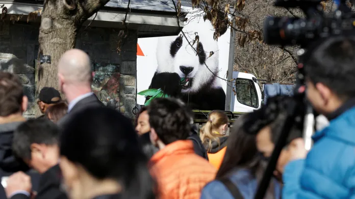 Odjezd pandy sledovala ve Washingtonu řada novinářů