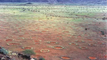 Kruhy v africké poušti