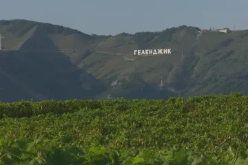 Ruské víno je na vzestupu. Míří s ním do Číny, Srbska i Francie