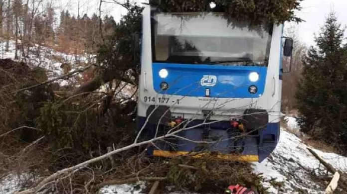 V Dzbeli na Prostějovsku spadly kvůli silnému větru stromy na projíždějící vlak