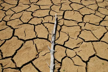 Evropu čekají silnější zemědělská sucha, i kdyby víc pršelo, varuje výzkum