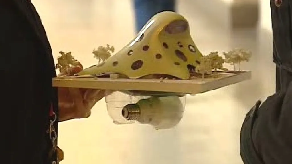 Model chobotnice